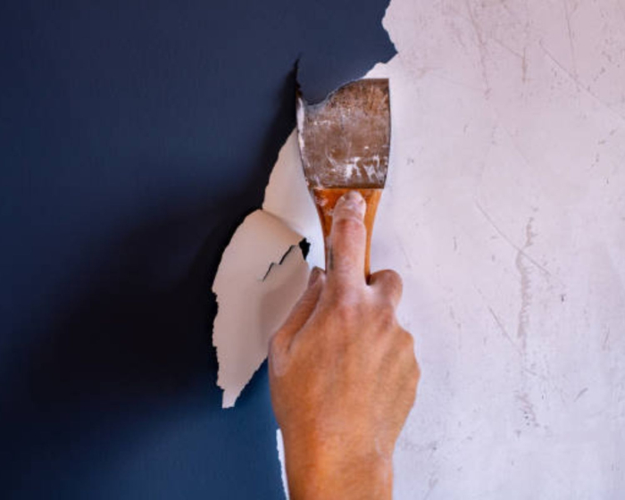 How to Repair Cracked Emulsion Paint on Walls – A Simple Guide