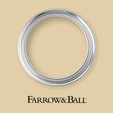 Farrow & Ball - Savage Ground No. 213