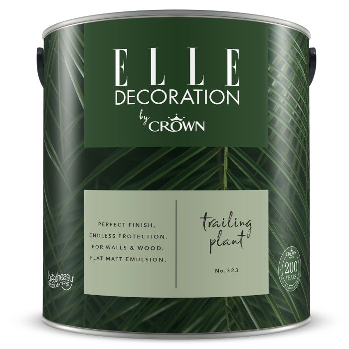 Crown Elle Decoration Flat Matt Trailing Plant
